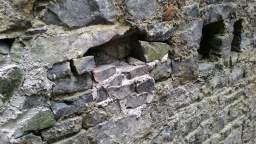 acastle
                          107565.jpg